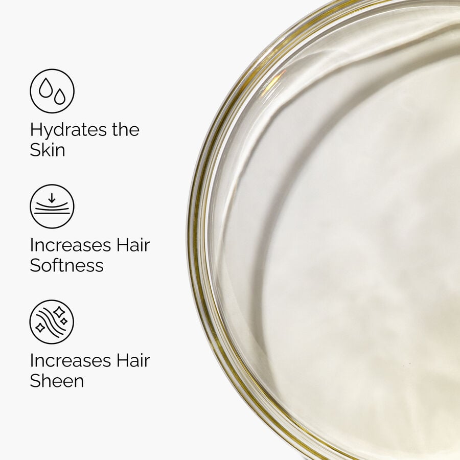 100% Organic Cold-Pressed Moroccan Argan Oil - US 8771