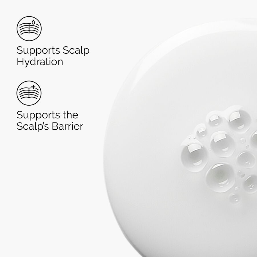Natural Moisturizing Factors + HA for Scalp - US 2532