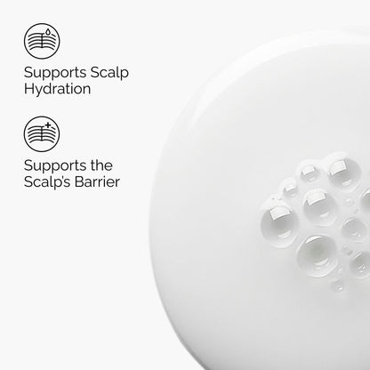Natural Moisturizing Factors + HA for Scalp - US 2532