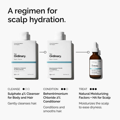 Natural Moisturizing Factors + HA for Scalp - US 2532