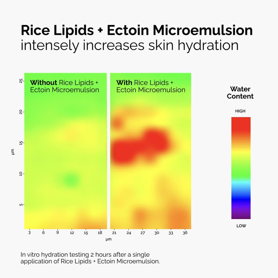 Rice Lipids + Ectoin Microemulsion - US 5443